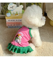 Small Pet Cat Dog
