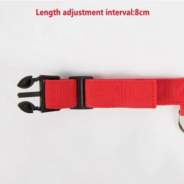PAWSHIELD NATURAL™ LED Glowing Dog Collar — Rechargeable, Reflective & Night-Safe