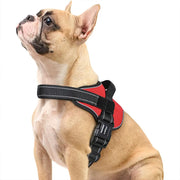 PAWSHIELD NATURAL™ Reflective Dog Harness Vest — Secure, Comfortable & Explosion-Proof
