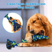 Knot Dog Toys