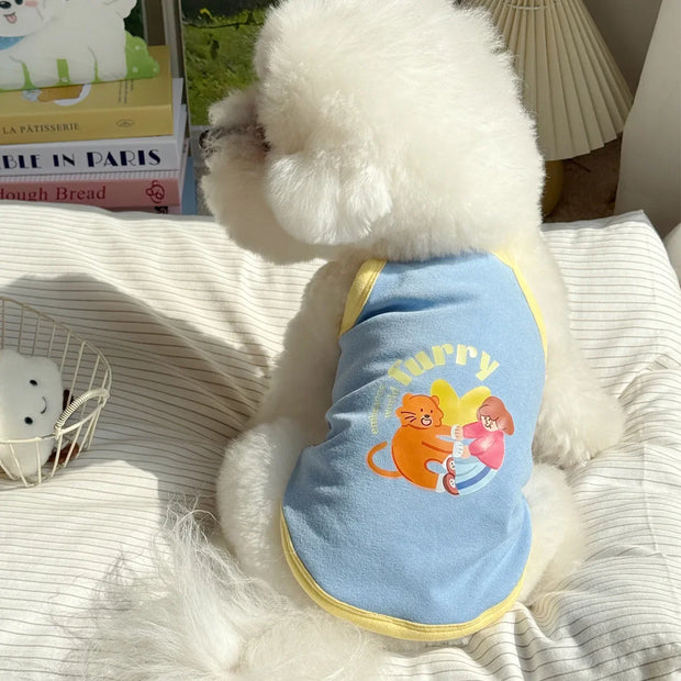 Small Pet Cat Dog