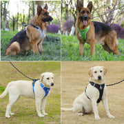 PAWSHIELD NATURAL™ Reflective Mesh Dog Harness & Leash Set — Breathable Comfort & Secure Control