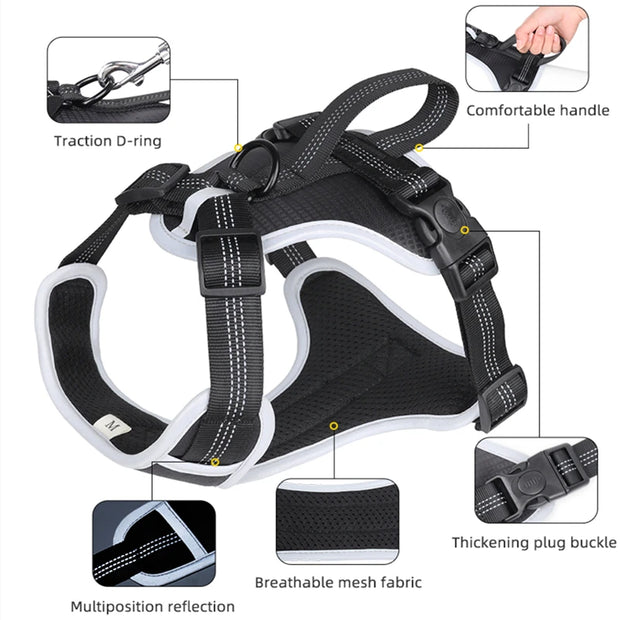PAWSHIELD NATURAL™ Reflective Mesh Dog Harness & Leash Set — Breathable Comfort & Secure Control