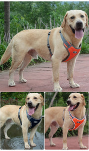 PAWSHIELD NATURAL™ Reflective Oxford Dog Harness — Rainproof Comfort &amp; Secure Control