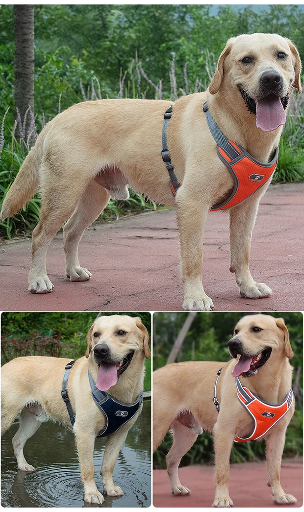 PAWSHIELD NATURAL™ Reflective Oxford Dog Harness — Rainproof Comfort &amp; Secure Control