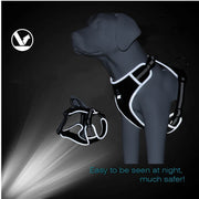 PAWSHIELD NATURAL™ Reflective Mesh Dog Harness & Leash Set — Breathable Comfort & Secure Control