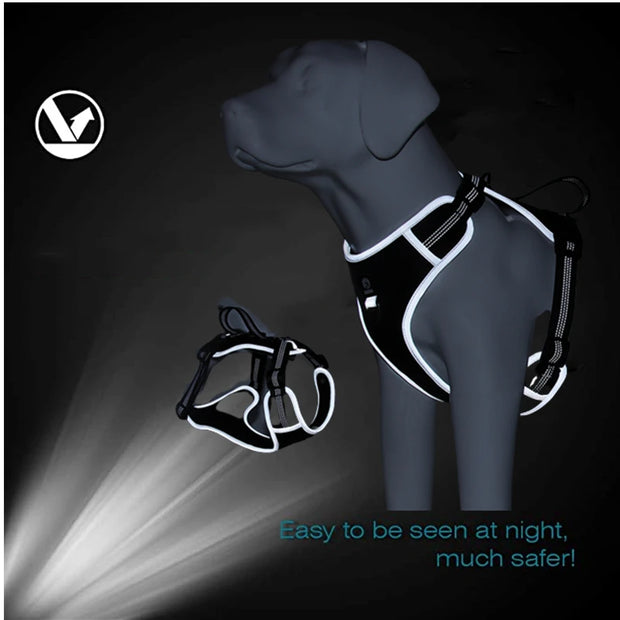 PAWSHIELD NATURAL™ Reflective Mesh Dog Harness & Leash Set — Breathable Comfort & Secure Control