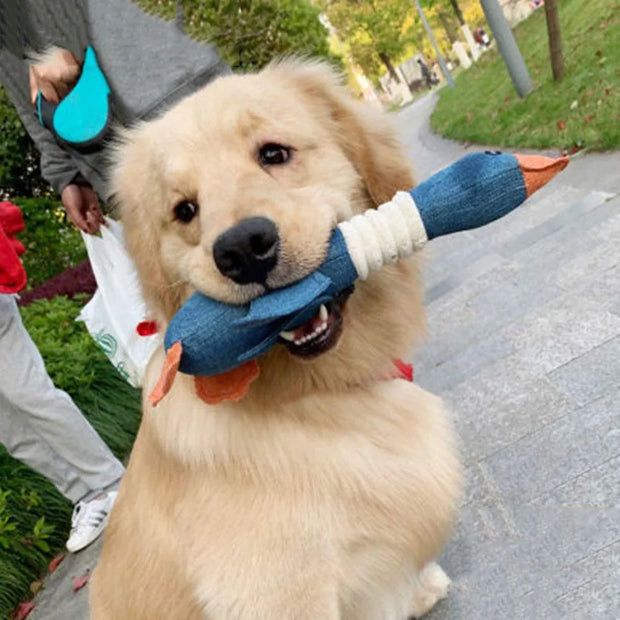 PAWSHIELD NATURAL™ Indestructible Squeaky Goose — Built for Aggressive Chewers