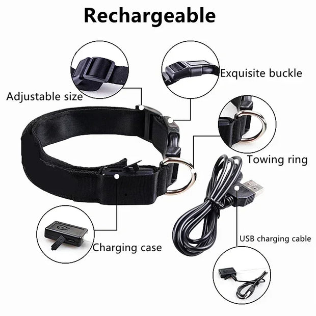 PAWSHIELD NATURAL™ LED Glowing Dog Collar — Rechargeable, Reflective & Night-Safe